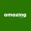 Amazing SMM logo
