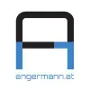 Angermann IT-Services logo
