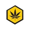 Bee Well Genetics logo