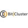 Bitcluster.ru logo