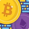 Bitcoin Flip logo