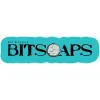 BitSoaps logo