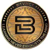 Bitvincy Foundation logo