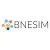 BNESIM logo