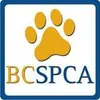 BP SPCA logo
