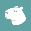 Logo de Capybara VPN