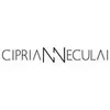 Ciprian Neculai logo