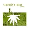Conexión a Tierra logo