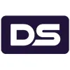 Digital Surge logo