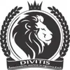 Divitis d.o.o. logo