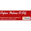 Dylan Palme logo