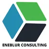 Eneblur Consulting logo
