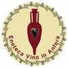 Enoteca Vino in Anfora logo