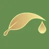 EssentialOils.Life logo