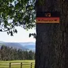 Freerein logo