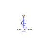 IceFit Studio logo