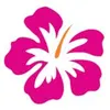 Islamona.ca logo