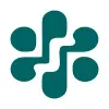 IT Deweloper logo