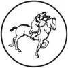 Kaukasus-Reisen logo