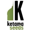 KETAMA SEEDS logo
