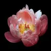 Lavka-flowers.ru logo