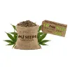 MJ Seeds Canada logo