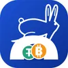 PayHopper logo