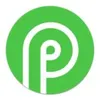 Payid19 logo