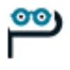 PerfectionGeeks Technologies logo