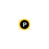PVAPins logo