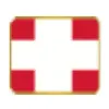 Suisse gold logo