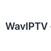 WavIPTV - 4k - Besten IPTV Kaufen logo