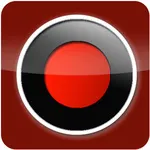 Bandicam.com logo