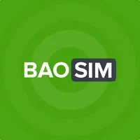 BAOSIM logo
