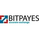 BitPayes logo