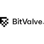 BitValve logo