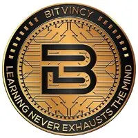 Bitvincy Foundation logo