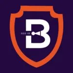 Borderless VPN logo