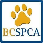BP SPCA logo
