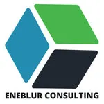 Eneblur Consulting logo