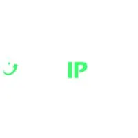 NewIPNow logo