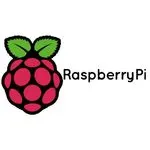 Pi Savvy logo
