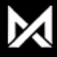 Themetawise.com logo
