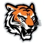 TigerTradeSoftware logo