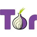 Tor logo