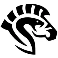 ZebraSnake payment solutions logo