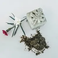 Exotica Shampoo Bar