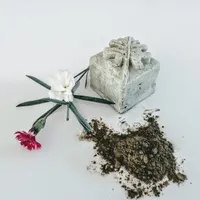 Exotica Shampoo Bar