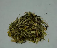 Tea Sample Pack