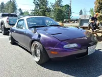 Vehicle Wrap